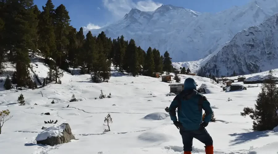 Fairy Meadows And Nanga Parbat Base Camp Traveloguers