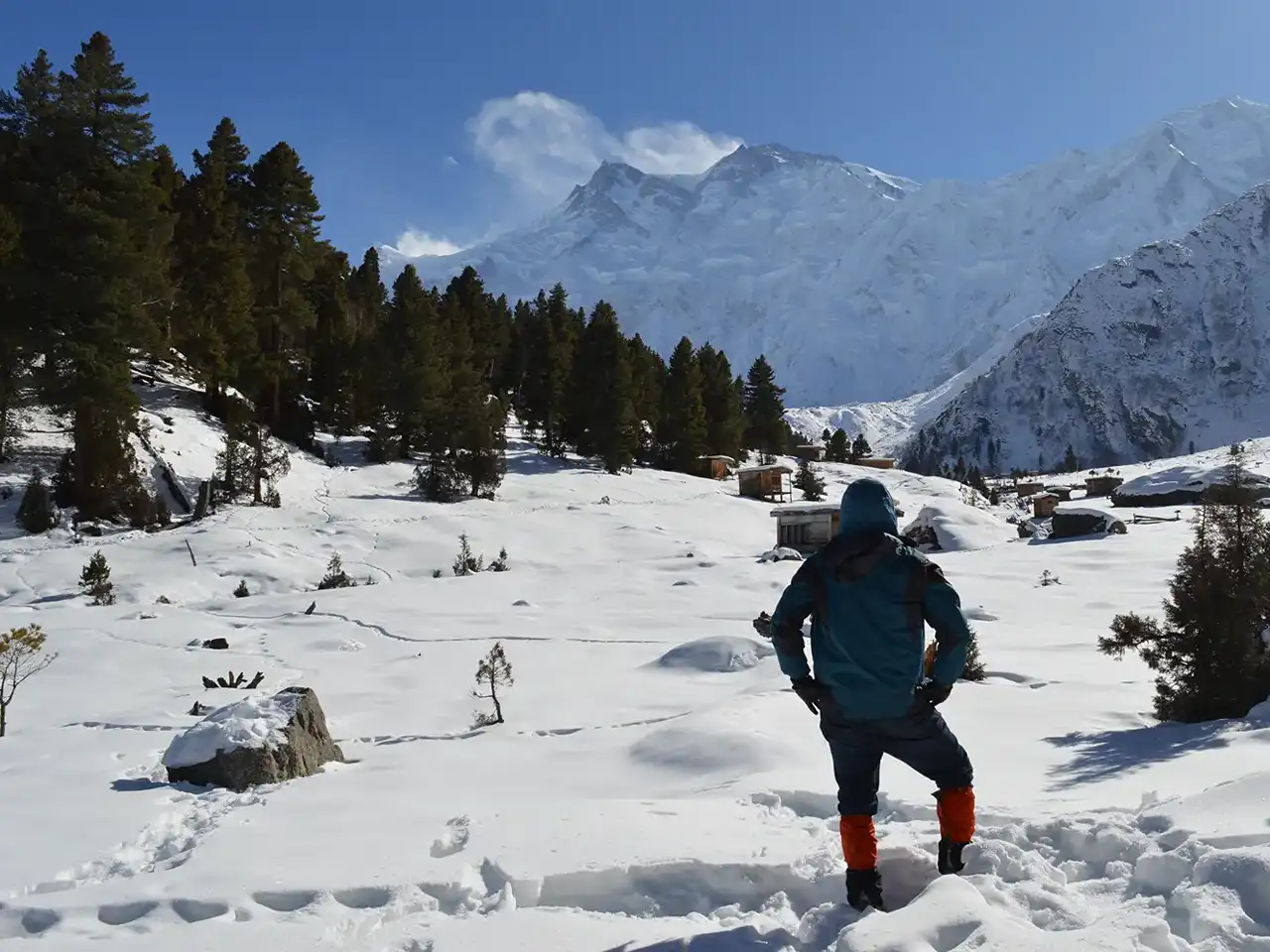 Fairy Meadows And Nanga Parbat Base Camp Traveloguers